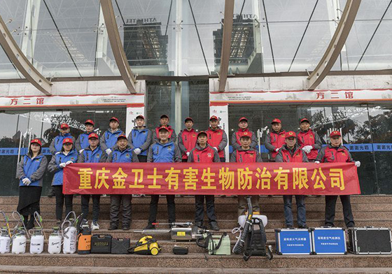 散白蟻侵害現(xiàn)代建筑，如何有效進行白蟻防治處理