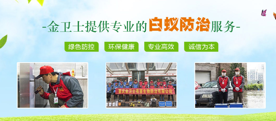 春季3月時期，白蟻消殺工作任重而道遠  ?