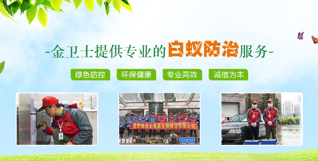 丑陋的蟑螂看起來很可怕。如何解決這種情況？