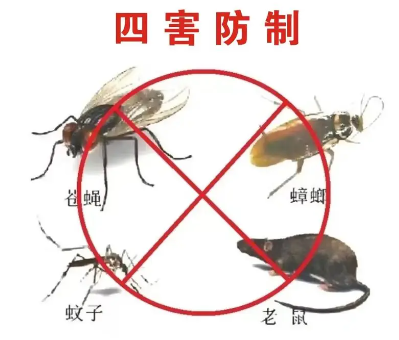 床墊易滋生吸血臭蟲，怎樣預(yù)防呢？